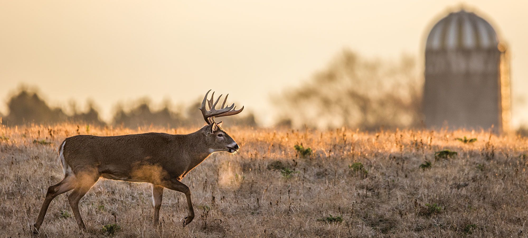 best of Ass kicked deer his by Hunter gets