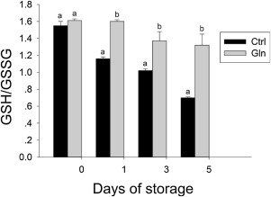 best of Content Glutamine sperm