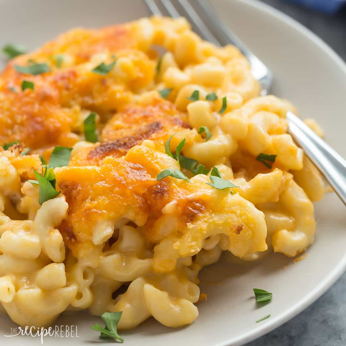 Low Fat Macaroni And Cheese Casserole Sex