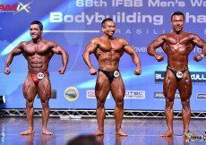 2010 ifbb amateur world bodybuilding championship