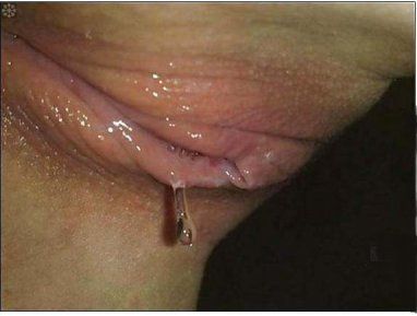 best of Pussy Closeups wet free