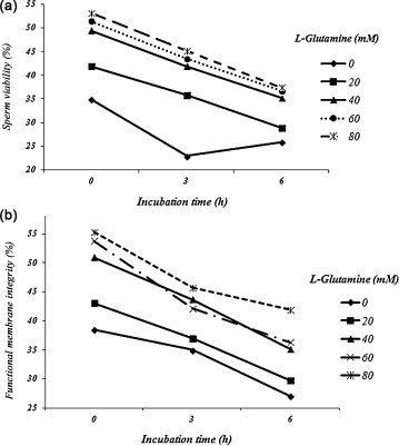 best of Content Glutamine sperm