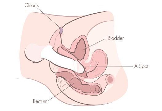 best of Position Missionarry sex