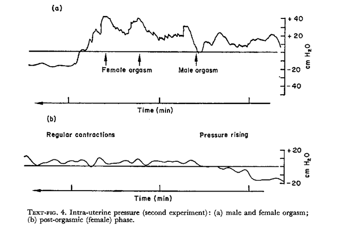 Baby D. reccomend The mechanism of orgasm